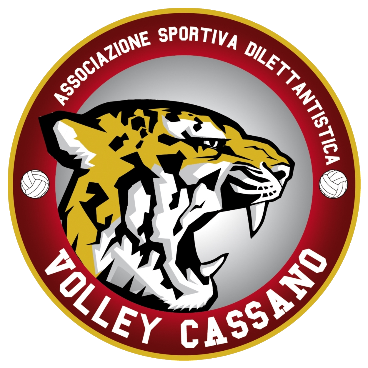 A.S.D. VOLLEY CASSANO