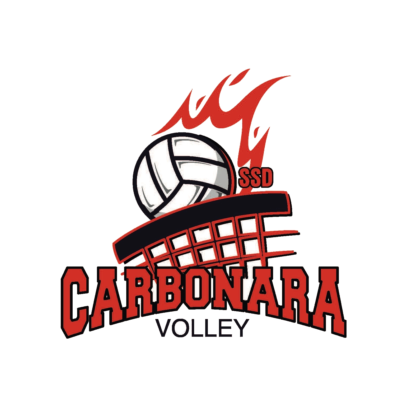 SSD CARBONARA VOLLEY SRL